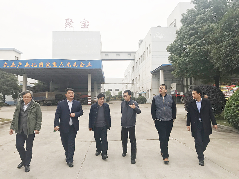張成志：加快新項目建設步伐，促進糧食產業經濟發展